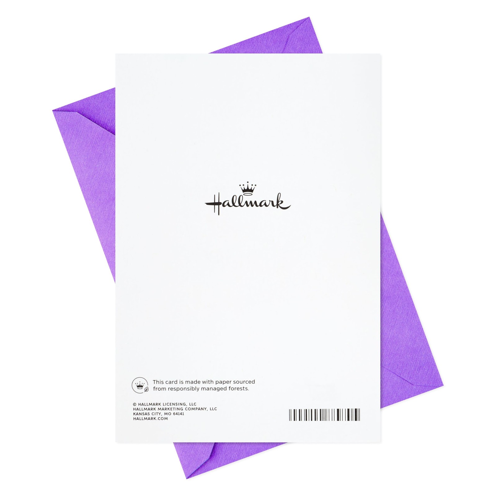 Hallmark Birthday Greeting Card for 5.8 inches x 8.3 inches, Purple Flower